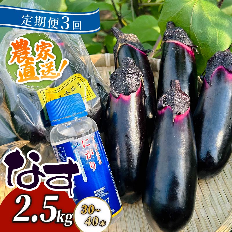 【ふるさと納税】【定期便3回発送】農家直送　土佐の美味茄子の新鮮ナス　2．5kg　（室戸海洋深層水にがり使用） 野菜 なす ナス 常温 小袋 国産 夏野菜 茄子 小分け 旬 高知 bn008