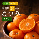 【ふるさと納税】【限定】 初夏のみかん なつみ 7.5kg【家庭用 訳あり】【ミカン 蜜柑 柑橘 和歌山 有田 南津海】