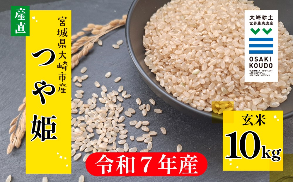 
                  【令和7年産】宮城県大崎市古川産つや姫〈玄米〉10kg｜艶やかで甘み豊かな食味
                