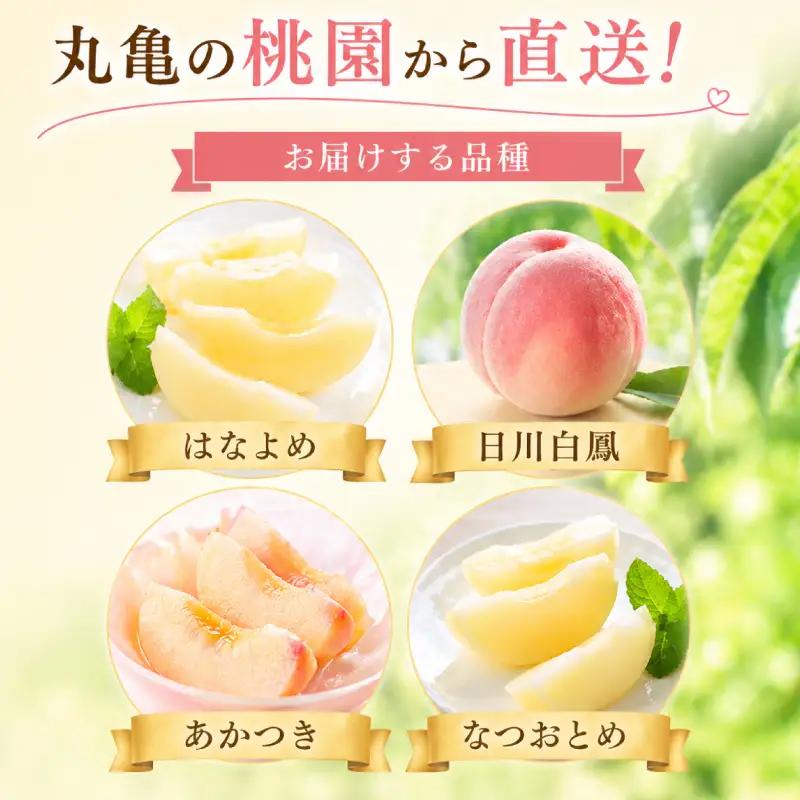 桃園からの定期便 全4回 各約2kg (7～9玉) はなよめ 日川白凰 あかつき なつおとめ