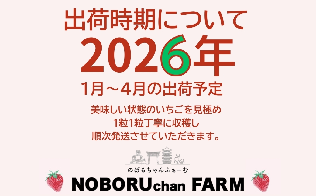 【 先行予約 / 数量限定 】 いちご 500g 以上 ( 270g × 2P ) 新鮮 産地直送 厳選 【2026年1月以降発送】 旬 ブランド イチゴ 苺 古都華 フルーツ 果物 くだもの 国産 