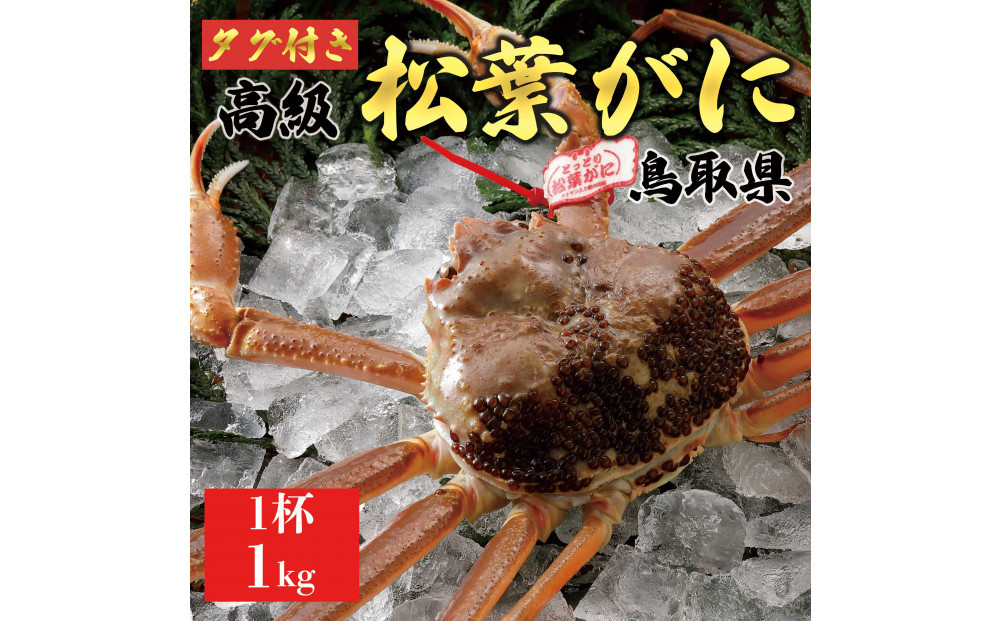 【2026年11月発送】特撰 松葉がに（なま）【ブランドタグ付き】1kg超の大きいサイズ 食べ応えあり 特大1杯