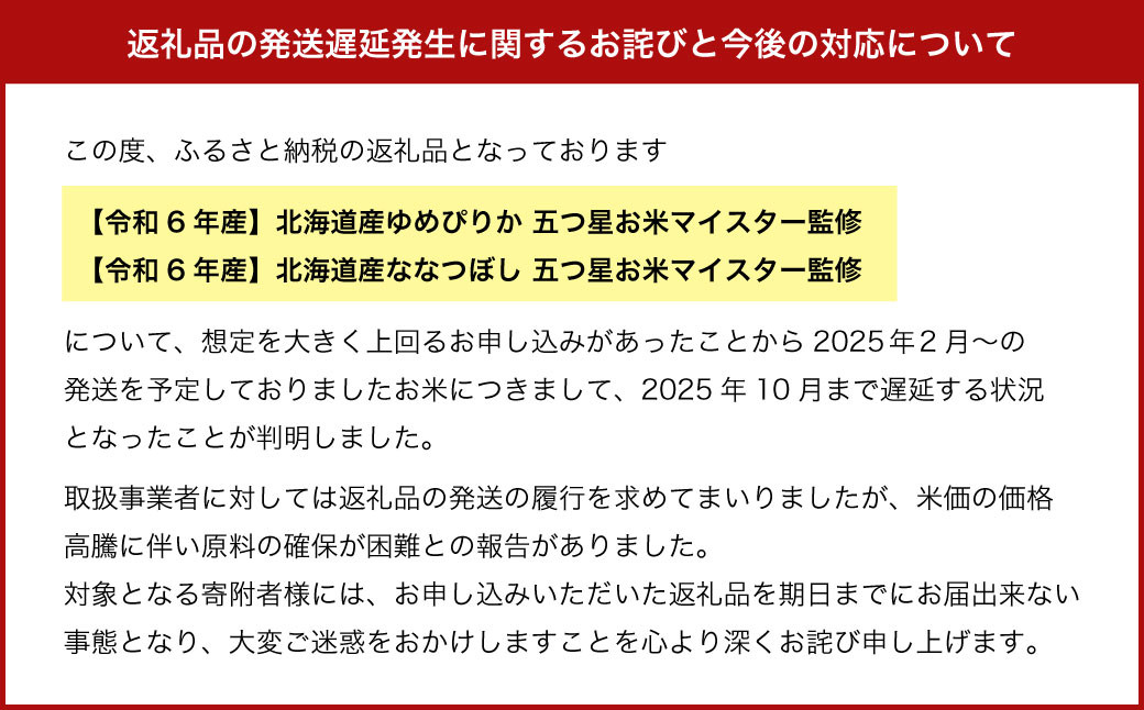 【11ヶ月定期便】令和5年産 北海道産 ななつぼし(精米) 10kg 五つ星お米マイスター監修