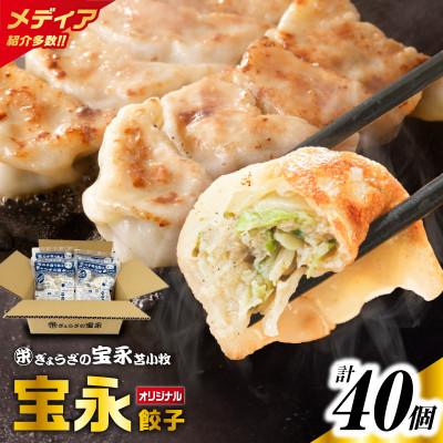 ふるさと納税 苫小牧市 ぎょうざの宝永　宝永餃子10個入セット(宝永餃子10個入×4袋)合計1.0kg