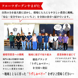 カタラーナ 4個 いちご カタラーナ