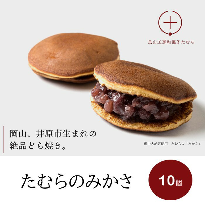 【ふるさと納税】たむらのみかさ（どら焼き）10個入