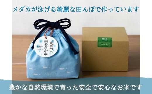 
【オリジナル巾着袋＆ギフトボックス付】門崎めだか米 6合 (3合×2袋) 【 ひとめぼれ お米 白米 産地直送 お弁当 おにぎり 岩手 一関 】
