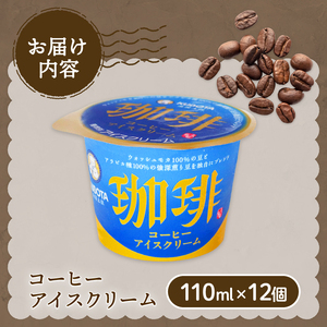コーヒーアイスクリーム 110ml×12個