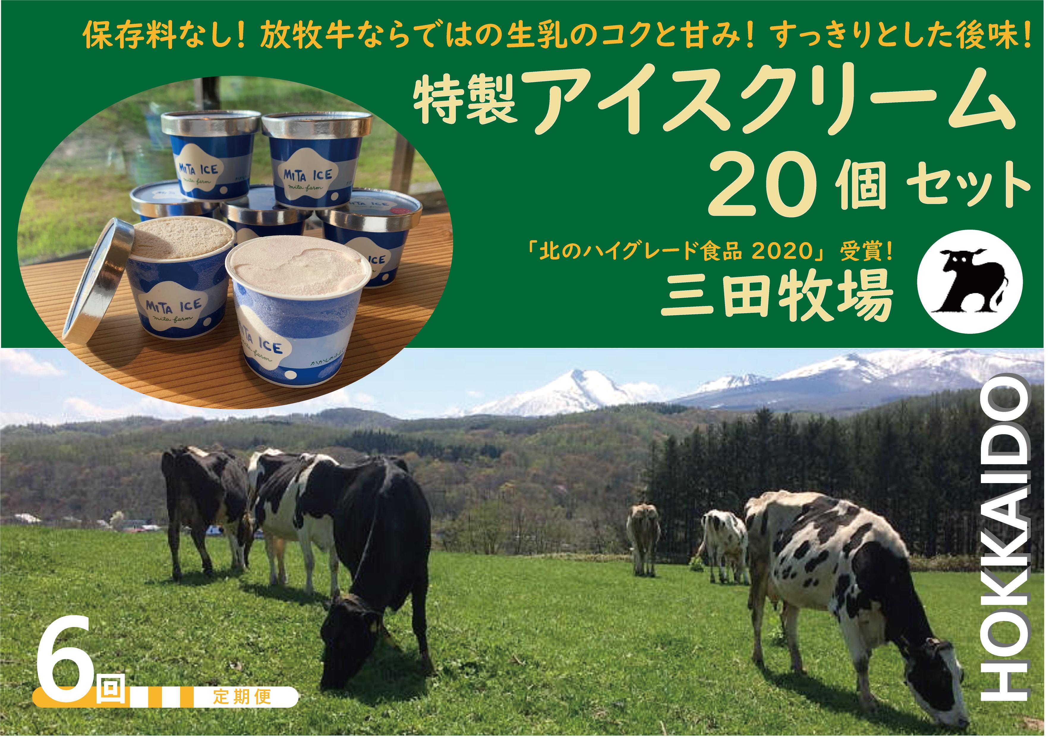 
            【6ヵ月定期便】アイス 三田牧場 特製 アイスクリーム 20個セット ミルク チョコレート いちごみるく ラムレーズン 抹茶 
          
