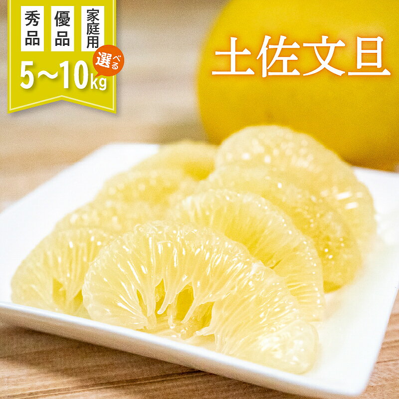 【ふるさと納税】 土佐文旦 5kg 10kg 2027年2月より順次発送 先行予約 選べる 秀品 優品 家庭用 訳あり 予約受付 高知県産 産地直送 サイズ混合 文旦 ぶんたん ブンタン 柑橘 フルーツ くだもの 果物 冬の味覚 お取り寄せフルーツ ギフト 産直 贈答用 高知県 須崎市