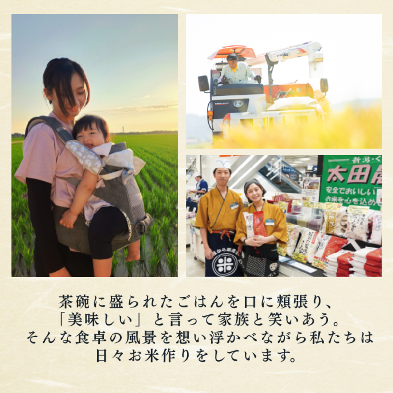 令和8年産 新潟県上越産 こしいぶき 15kg 15キロ（5kg×3）【白