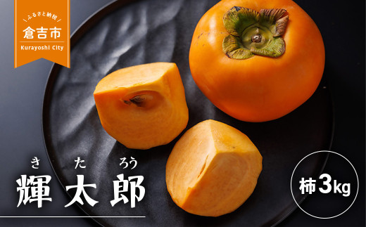 早生甘柿 輝太郎（きたろう） 3kg 柿 果物 フルーツ 期間限定 数量限定 高糖度 大玉 早生 甘カキ 甘柿 新品種 ポリフェノール タンニン 鳥取県 倉吉市