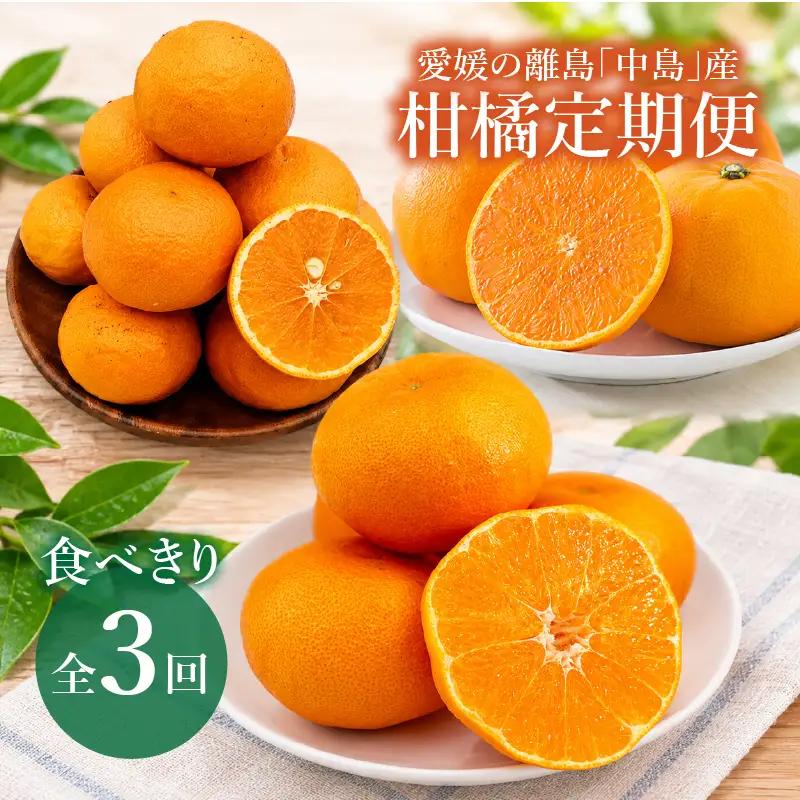 【全3回】愛媛の離島「中島」産柑橘食べきり定期便 1.5kg | 甘平 せとか カラマンダリン みかん フジ・アグリフーズ 春みかん 愛媛蜜柑 愛媛ミカン みかん ミカン mikan 蜜柑 柑橘 フルーツ 果物 数量限定 人気 おすすめ 愛媛県 松山市 送料無料【FA125】