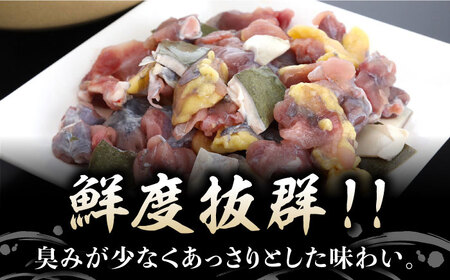 【全6回定期便】生きたまま届く最高級食材！安心安全な国産！ 江田島育ちのすっぽん 【活き】料理 人気 美容 健康 ギフト 広島県産 江田島市/平井興産株式会社[XAC011]海鮮魚介類すっぽんスッポン