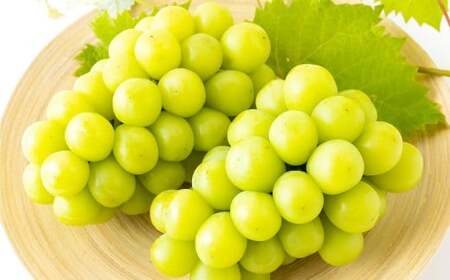 【先行予約】 やりみず農園 農家厳選！ シャインマスカット 2房から3房（約1kg） 【2026年8月下旬～9月上旬発送予定】 シャインマスカット ぶどう ブドウ 葡萄 くだもの 果物 フルーツ 果実