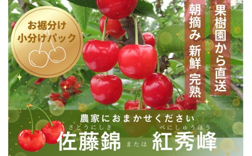 さくらんぼ（佐藤錦か紅秀峰）１ｋｇ　ご家庭用　0062-2501