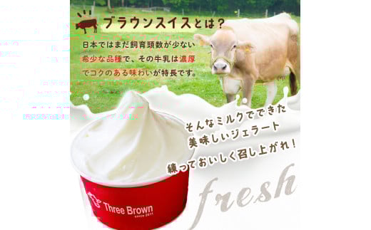 ジェラート 幻の牛の生乳から作る 無添加ジェラート 12個 ｜ジェラート 無添加 ミルク いちご ブルーベリー 旬の味 お任せフレーバー 旬 生乳 高級 美味しい 人気 リッチ 極上 乳製品 新鮮 定