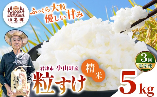 【 定期便 3回 】精米（白米） 令和8年産 君津市小山野産 粒すけ 5kg 3回 | あかかげ農園 千葉稲作 ツブスケ 千葉県産 むせんまい 米 コメ こめ お米 千葉県 君津市 きみつ