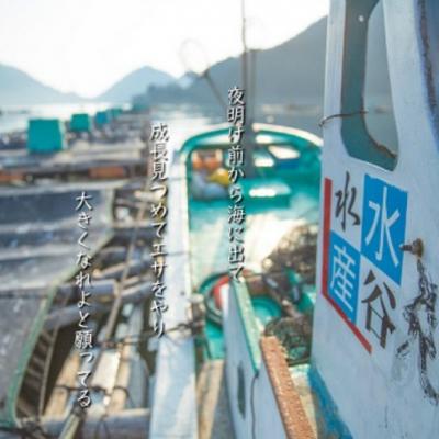 ふるさと納税 熊野市 【テレビで紹介されました】水谷水産【新姫　熊野鯛】 3枚おろし (冷凍) |  | 03