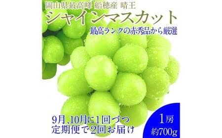 赤秀ぶどうプレミアム シャインマスカット 晴王 1房 約700g 【先行予約：2026年9月上旬～10月下旬発送予定2回定期便】 船穂産 赤秀品以上 皮ごと食べる みずみずしい 糖度保証 岡山県産 満天フルーツ 定期便 冷蔵 岡山県 倉敷市