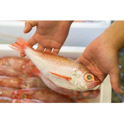 ふるさと納税 浜田市 大秀商店の「干しのどぐろ(150g〜200g」個包装5尾入り |  | 02