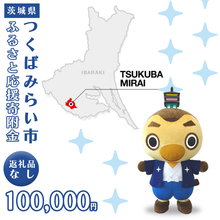 【 返礼品なし 】 茨城県 つくばみらい市 ふるさと応援寄附金 （ 100、000円 )  [BH20-NT ]