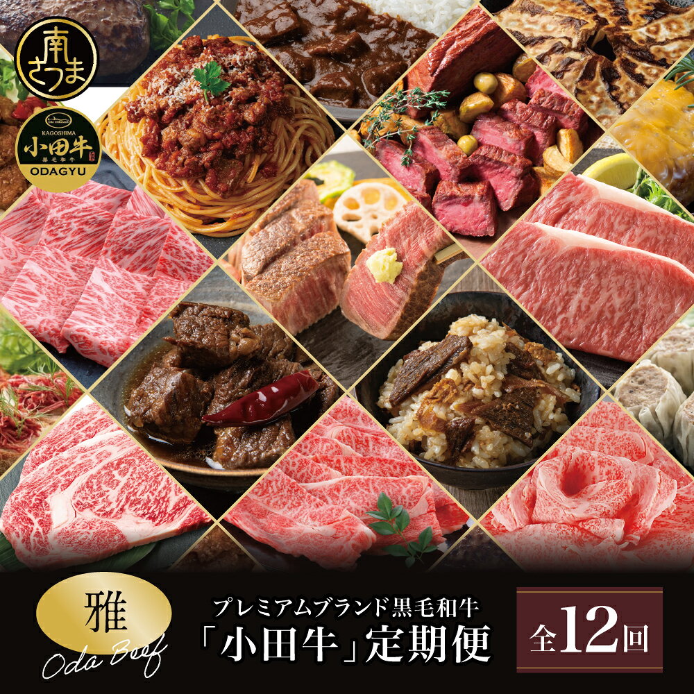 【ふるさと納税】【全12回】プレミアムブランド「小田牛」定期便［～雅～］ 鹿児島県産 黒毛和牛 ステーキ すき焼き 焼肉 焼き肉 BBQ ハンバーグ ローストビーフ 餃子 ぎょうざ 焼売 しゅうまい レトルト カレー パスタソース 常温 冷凍 小田畜産 南さつま市 送料無料