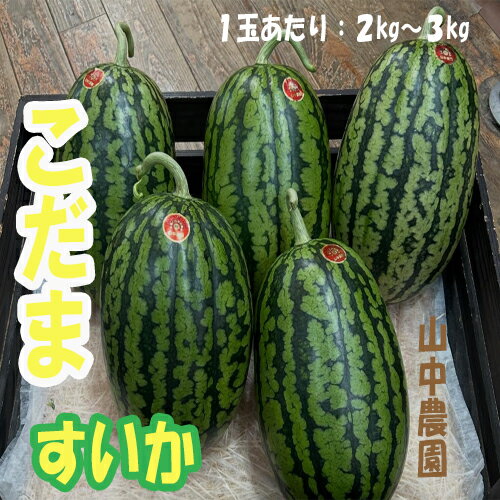 【ふるさと納税】【10月中旬～11月発送】山中農園の小玉スイカ 【姫まくら】（1玉or2玉or3玉) 1玉 2玉 3玉 フルーツ 季節限定 秋 産地直送 完熟 甘い こだま 西瓜 すいか 山中農園/高知県 奈半利町