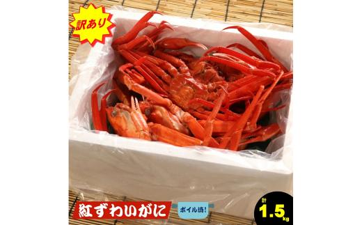 【訳あり 数量限定 期間限定】脚折れ紅ズワイガニセット　合計1.5kg (2024年9月発送～)