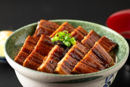 1881-3 【 全3回 定期便 】 鹿児島 産 うなぎ 合計340g （ 170g × 2尾 ） KN021-T02 鰻 ウナギ 蒲焼