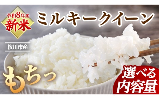 
                  《 令和8年産 》 桜川市産 ミルキークイーン 5kg 10kg 新米 先行予約 茨城県 桜川市 米 お米 白米 コメ ごはん 精米 国産 限定 銘柄米 [SC071sa00]
                