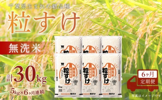 
                  ＜6か月定期便＞ 千葉県産「粒すけ」無洗米 5kg×6か月連続 計30kg
                