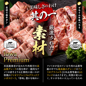 ＜定期便・全3回 (4か月ごとの発送)＞ 特選 牛タン ・ 牛ハラミ セット (総量2.4kg) 定期便 小分け 牛肉 肉 タン 牛たん ハラミ 牛はらみ 詰め合わせ 味付け 焼肉 塩 BBQ 冷凍 