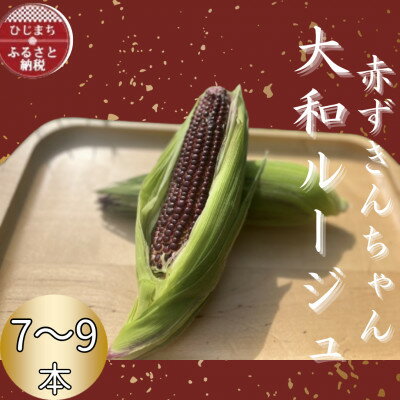 【ふるさと納税】大分県日出町産 大和ルージュ【赤ずきんちゃん】7～9本【配送不可地域：離島】【1635809】