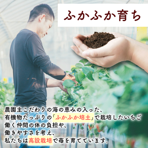 フリーズドライ イチゴ 40g 【いちご】