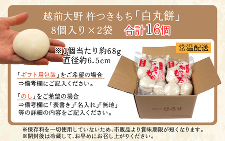 【先行予約】杵つきもち「白丸餅」計16個 |  餅  手造り 大野市