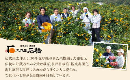 五代目みかん9.5kg／ふるさと納税 佐賀 みかん オレンジ フルーツ濃厚 甘い 酸味 大町 贈答 ギフト 贈り物 42ik-002