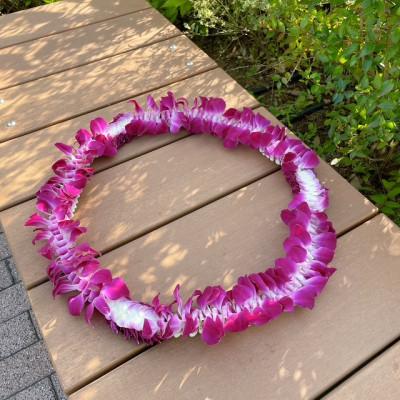 ふるさと納税 ふじみ野市 ハワイアンレイ生花(デンファレKuiスタイル) |  | 01