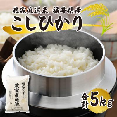 ふるさと納税 小浜市 先行受付　令和7年産【農家直送米】福井こしひかり5kg　