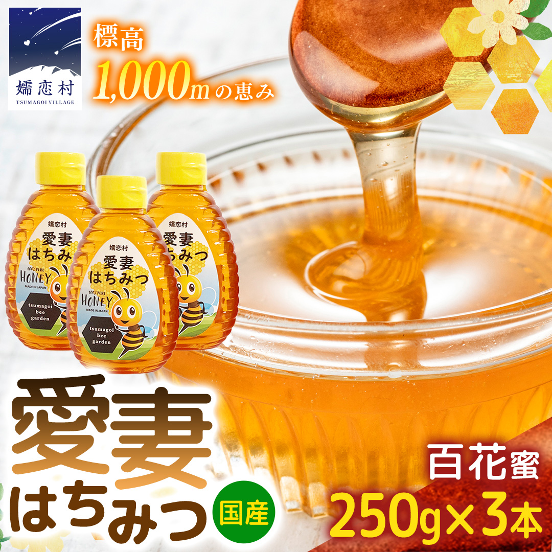 嬬恋村 愛妻はちみつ ( 百花 ) 250g 3個セット はちみつ ハチミツ 国産 蜂蜜 群馬 [AC002tu]
