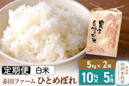 《5ヶ月定期便》令和6年産【白米】秋田県産ひとめぼれ 10kg（5kg×2袋）