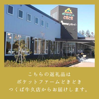 ふるさと納税 茨城県 栗ご飯にぴったり!茨城県産 貯蔵 石鎚栗 約2kg(約1kg×2袋) |  | 03