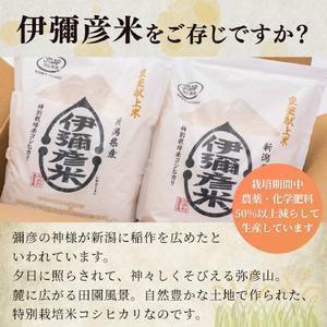 【伊彌彦米パックごはん】皇室献上米　3パック入×6箱セット【1107195】