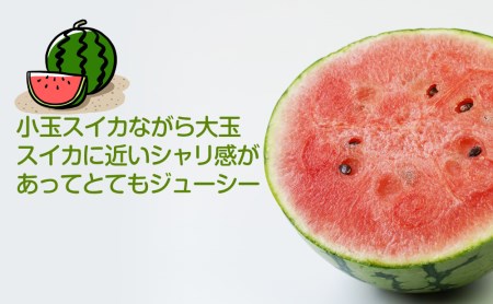 和歌山産小玉すいか ひとりじめ7(2～3玉)