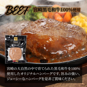 宮崎県産黒毛和牛100%ハンバーグ個包装(10個/冷凍)・ 宮崎県産ポークハンバーグ個包装(10個/冷凍)　K16_0157