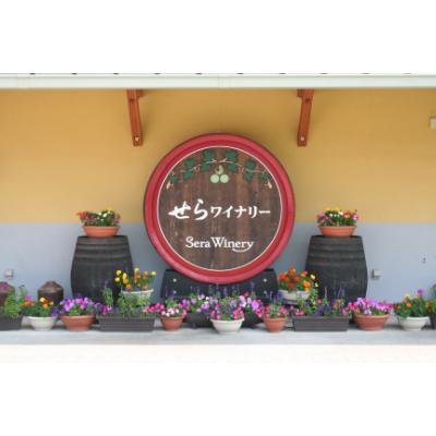 ふるさと納税 世羅町 【世羅町産ブドウの日本ワイン】せらワインハーフボトル2本セット |  | 02