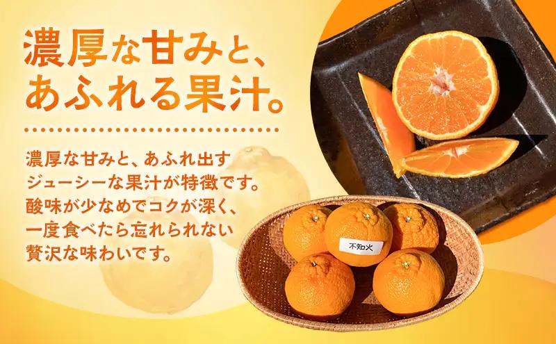 不知火 ＋ 2～3種類 5kg みかん ミカン 不知火