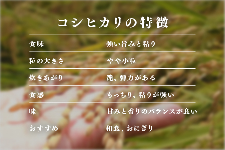 【数量限定！500袋限定販売！！】＜2025年11月以降 順次発送予定＞令和7年産 コシヒカリ 通常便（1回配送）計10kg（5kg×2袋） 通常便（1回配送）計10kg（5kg×2袋）