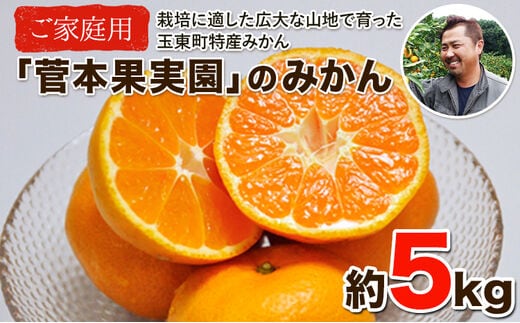 
										
										ご家庭用『菅本果実園』のご家庭用みかん★約5kg(2S-2Lサイズ) 【日付指定不可】フルーツ 秋 旬★熊本県玉名郡玉東町 全国にファン多数！エコファーマー菅本さんのみかん♪『菅本果実園』ちょこっと訳あり《11月下旬-12月末頃より順次出荷》---sg_wsugamikan_cf11_24_7500_5kg---
									