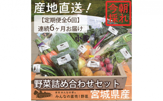 
【定期便全6回】連続6ヶ月お届け！岩沼みんなの家の「みんなの直売！野菜」セット詰め合わせ [№5704-0641]
